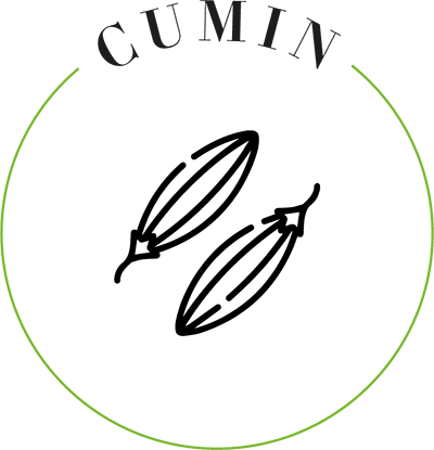 cumin icon (2)