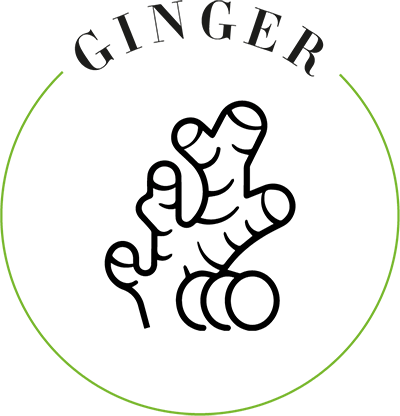 ginger icon (1)